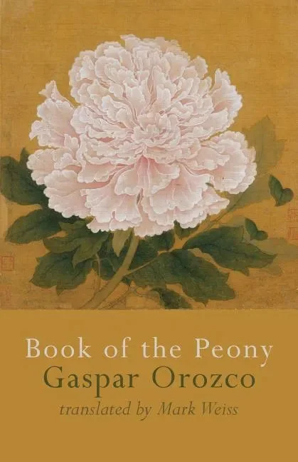 booksby.splitshops-42398442