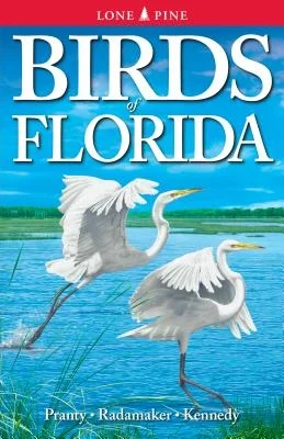 booksnthingswarehouse-11389511