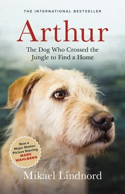 booksnthingswarehouse-11411830