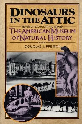 booksnthingswarehouse-11489969
