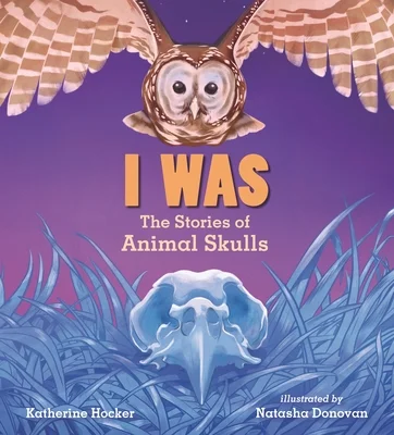 booksnthingswarehouse-11556587