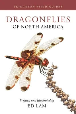 booksnthingswarehouse-11660084