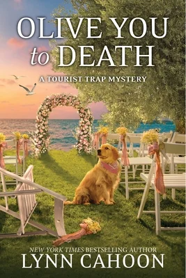 booksnthingswarehouse-11731765