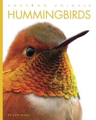 booksnthingswarehouse-12088425