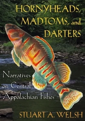 booksnthingswarehouse-21340486