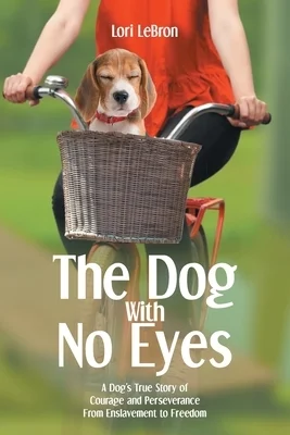booksnthingswarehouse-22222275