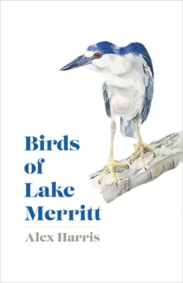 booksnthingswarehouse-31366821