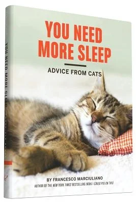booksnthingswarehouse-31462751