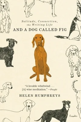 booksnthingswarehouse-31844129