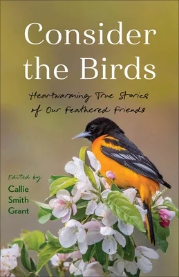 booksnthingswarehouse-32216815