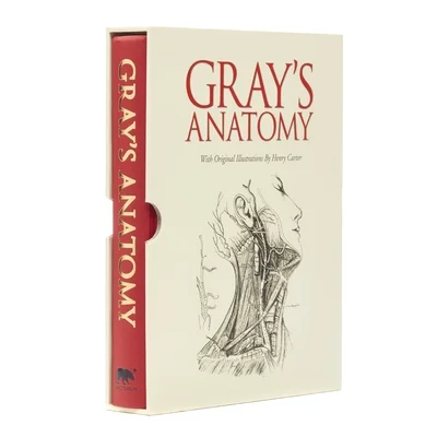 booksnthingswarehouse-32231581