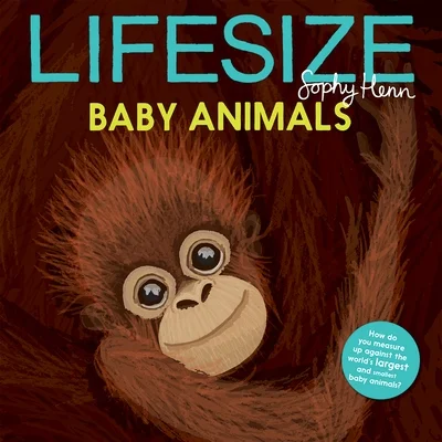 booksnthingswarehouse-32245776
