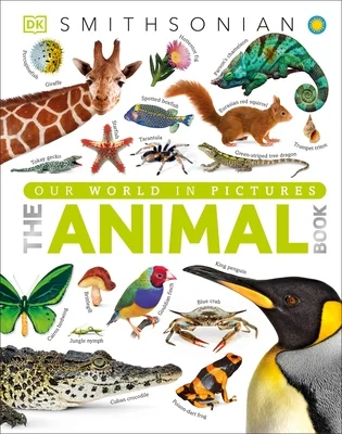 booksnthingswarehouse-41375077