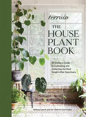 booksnthingswarehouse-41389509