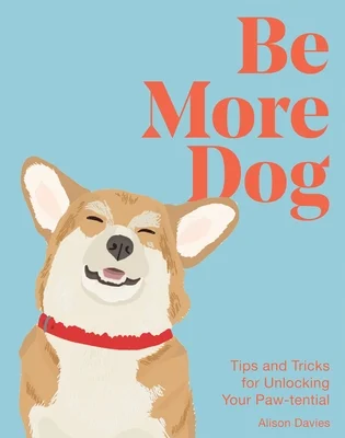 booksnthingswarehouse-41455537