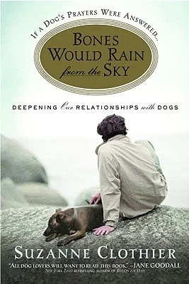 booksnthingswarehouse-41499067