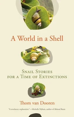 booksnthingswarehouse-41929568