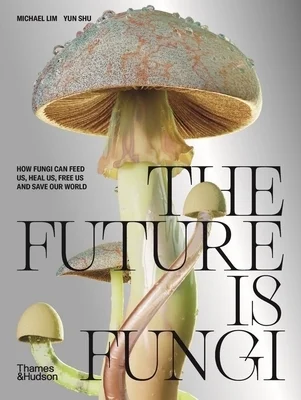 booksnthingswarehouse1130317