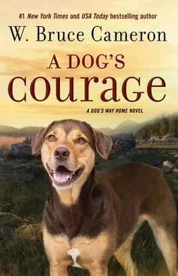 booksnthingswarehouse1316269