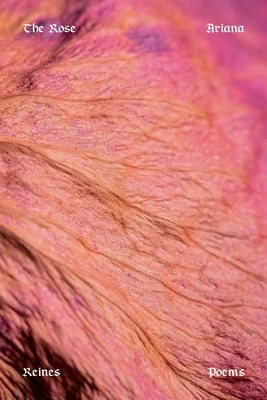 flowerburst-31082230