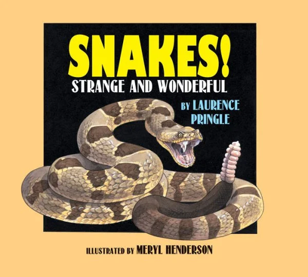 massivebookshop-21579857