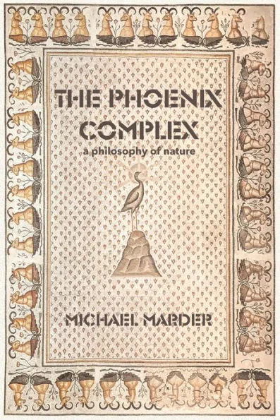 massivebookshop-41870256