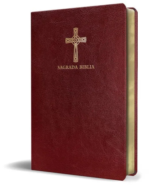 massivebookshop-42209440