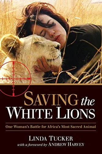 roundaboutbookstore-11432089