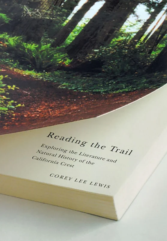 roundaboutbookstore-11451123
