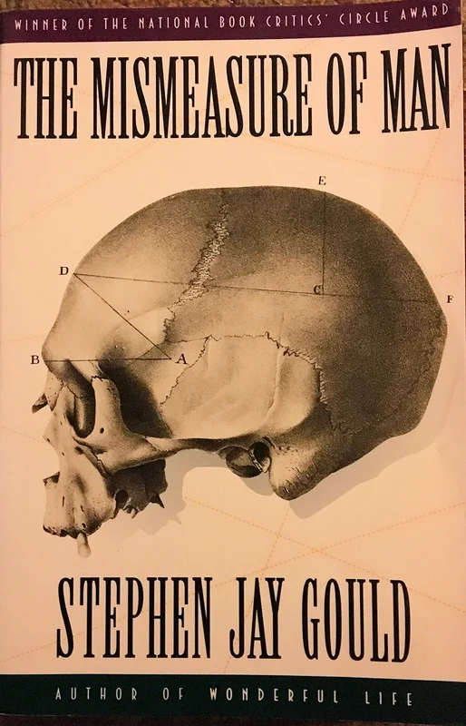 roundaboutbookstore-11617624