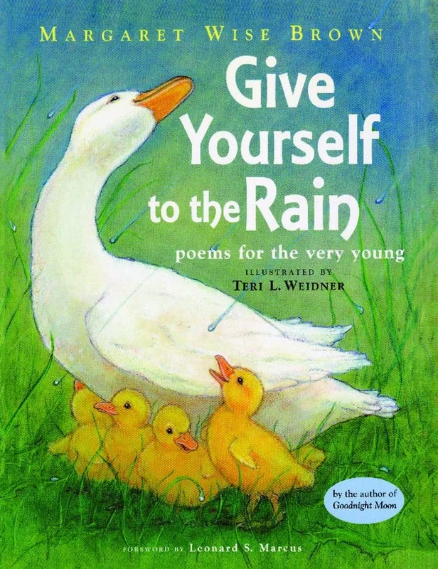 roundaboutbookstore-11631981