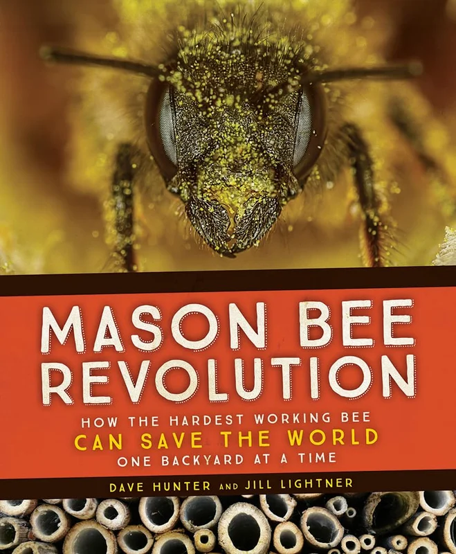 roundaboutbookstore-11663930