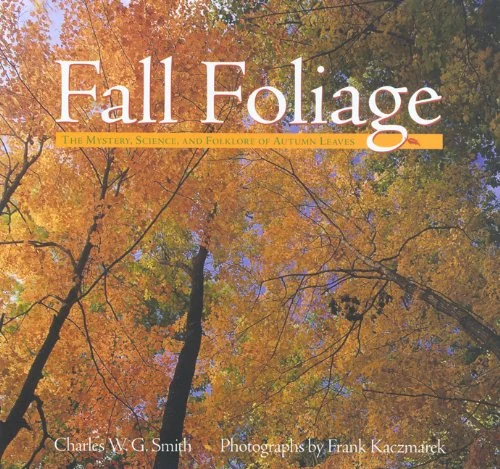 roundaboutbookstore-11673013