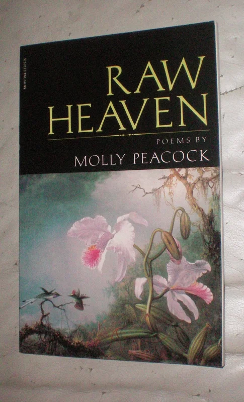 roundaboutbookstore-11717564
