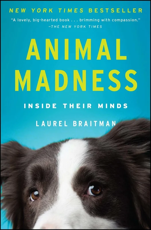 roundaboutbookstore-11727685