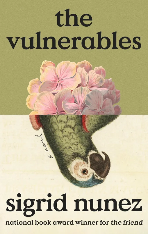 roundaboutbookstore-11796533