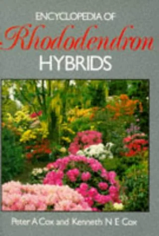roundaboutbookstore-11799037