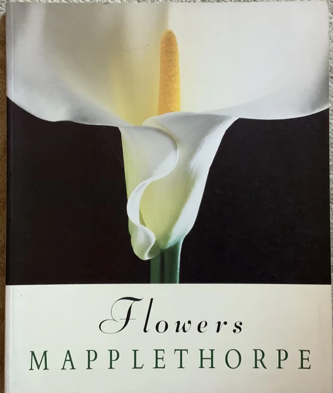 roundaboutbookstore-11799074