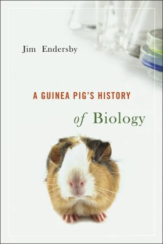 roundaboutbookstore-11822192