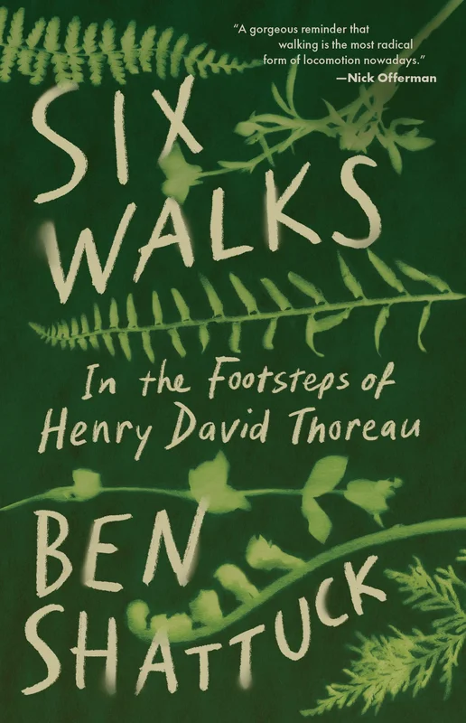 roundaboutbookstore-11826796