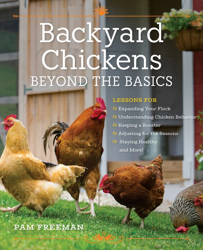 roundaboutbookstore-11886324