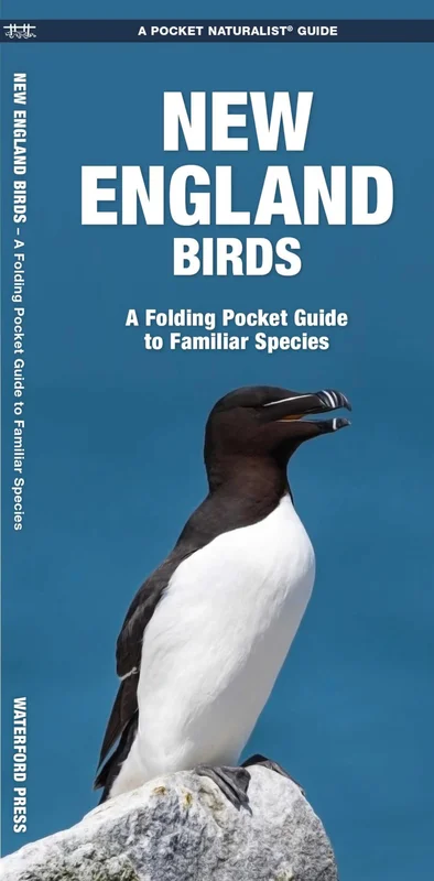 roundaboutbookstore1014273