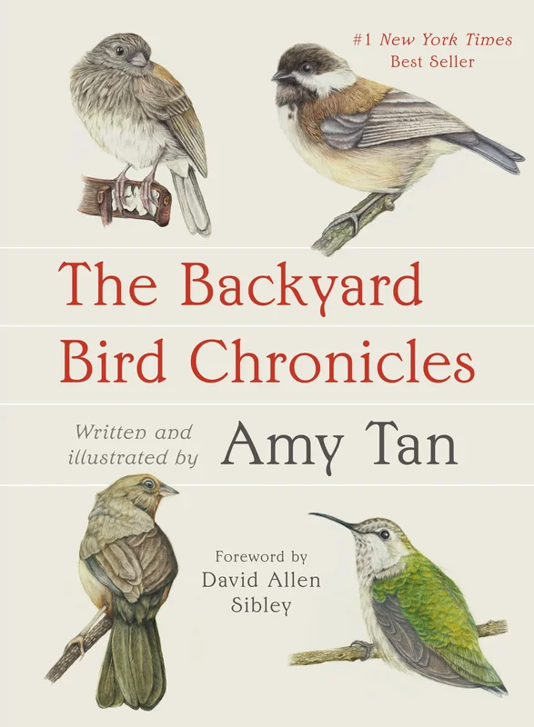 roundaboutbookstore1017170