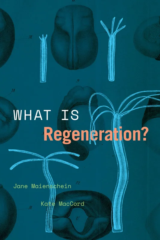 roundaboutbookstore1028917