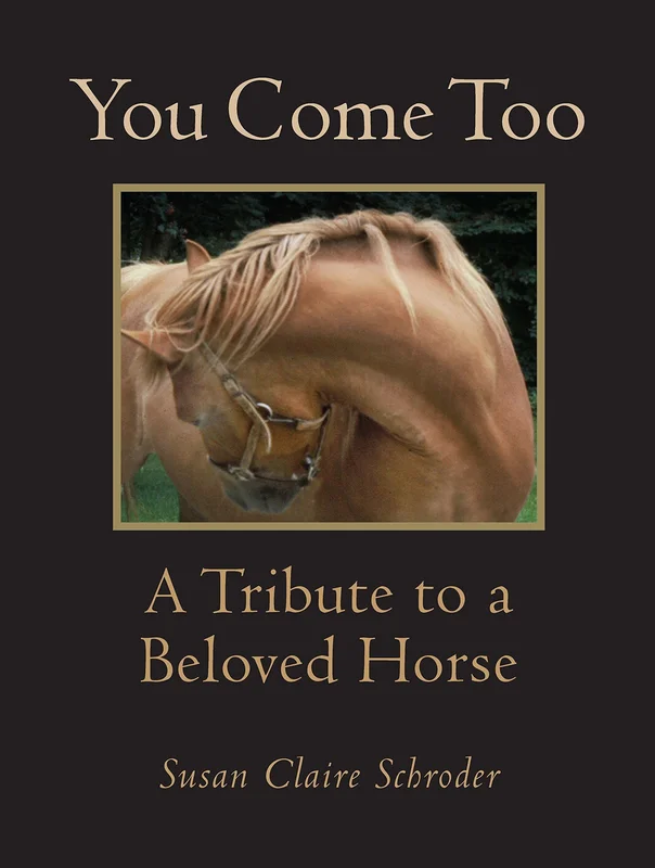 roundaboutbookstore1127713