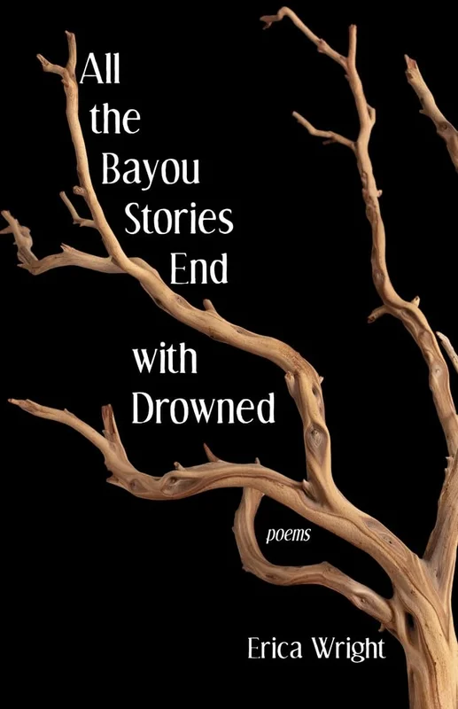 roundaboutbookstore1225551