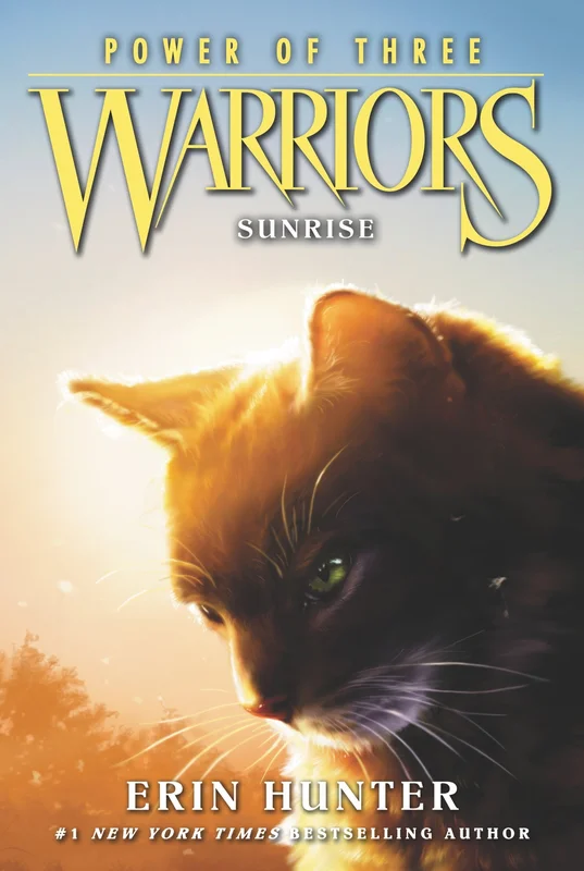 roundaboutbookstore1258525