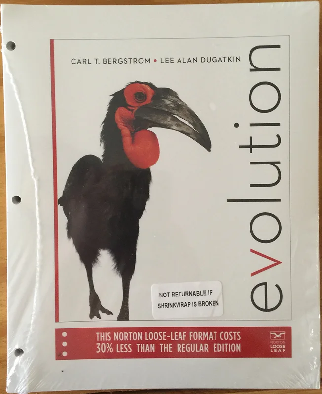 roundaboutbookstore1282728