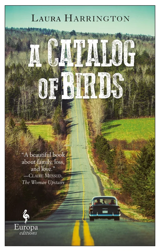 roundaboutbookstore1325670