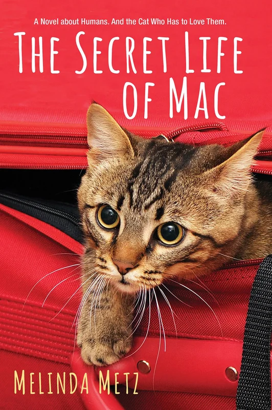 roundaboutbookstore1335623